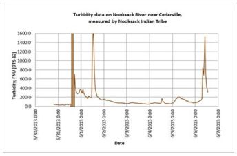Chart showing spikes in Nooksack turbidity on May 31, June 1, and June 6. Courtesy Nooksack Tribal Fisheries.